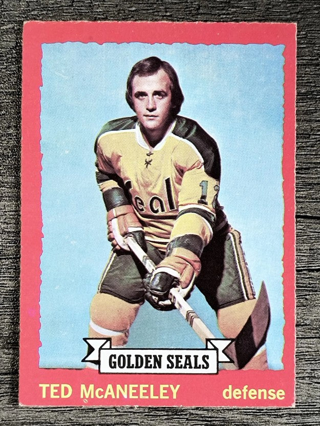 1973-74 O-Pee-Chee #37 Ted McAneeley (EXMT)