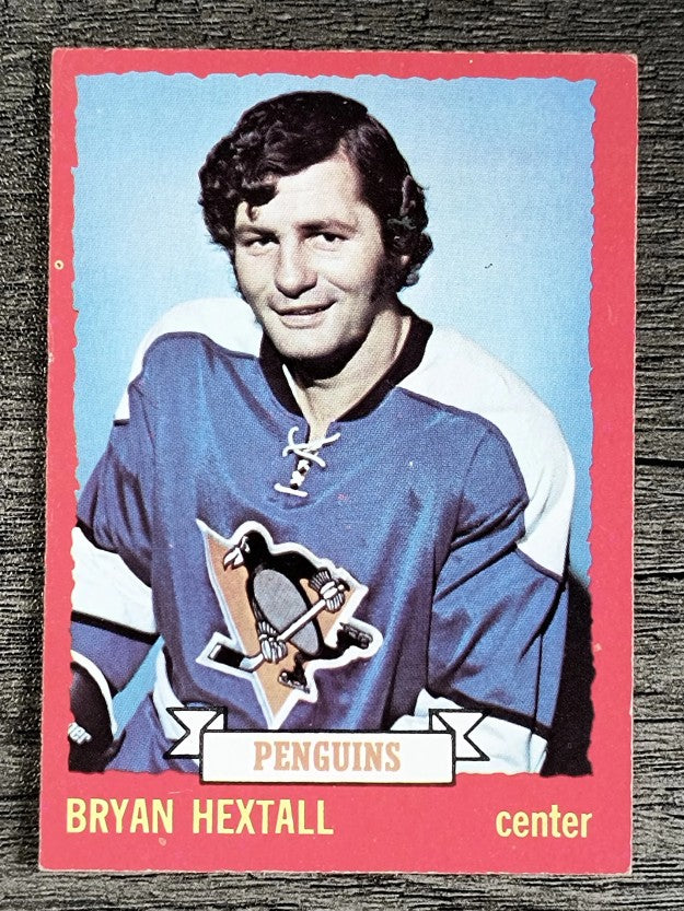 1973-74 O-Pee-Chee #43 Bryan Hextall (EXMT)
