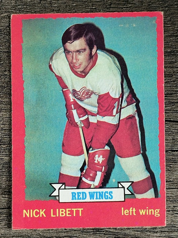 1973-74 O-Pee-Chee #49 Nick Libett (EX)