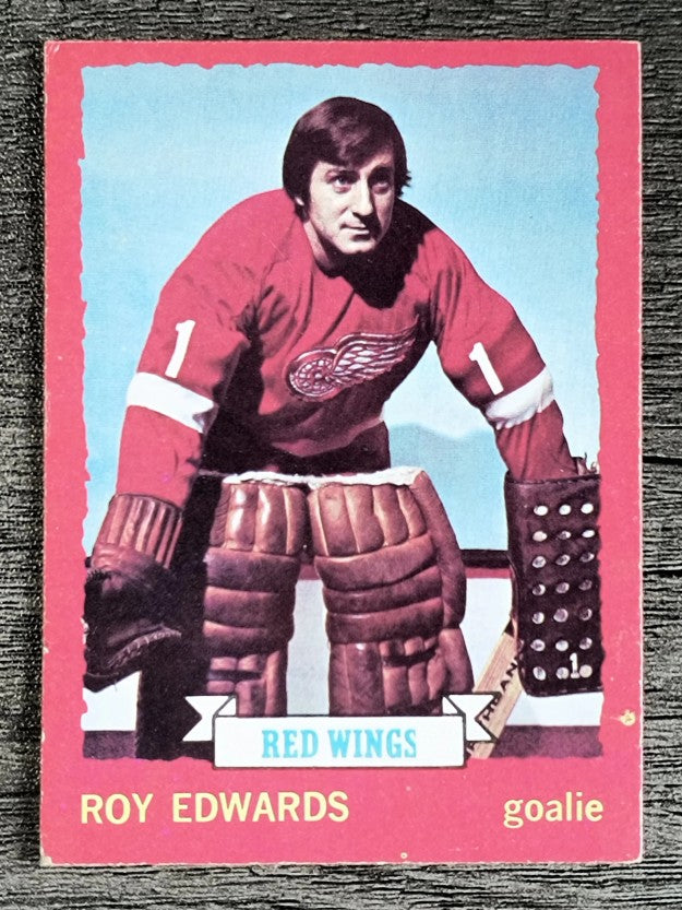 1973-74 O-Pee-Chee #82 Roy Edwards (EXMT)