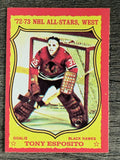 1973-74 O-Pee-Chee #90 Tony Esposito (EXMT)