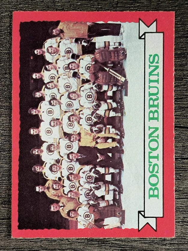 1973-74 O-Pee-Chee #93 Bruins Team (NM)