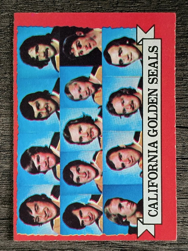 1973-74 O-Pee-Chee #95 Golden Seals Team (EX)