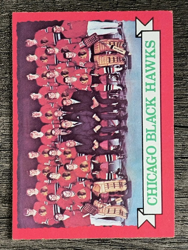 1973-74 O-Pee-Chee #96 Blackhawks Team (NM)