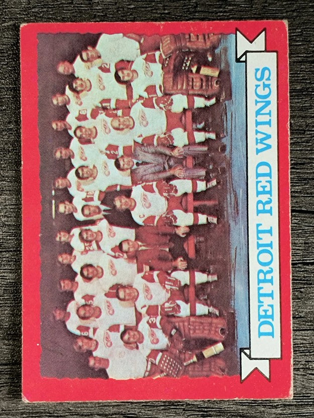 1973-74 O-Pee-Chee #97 Red Wings Team (EX)