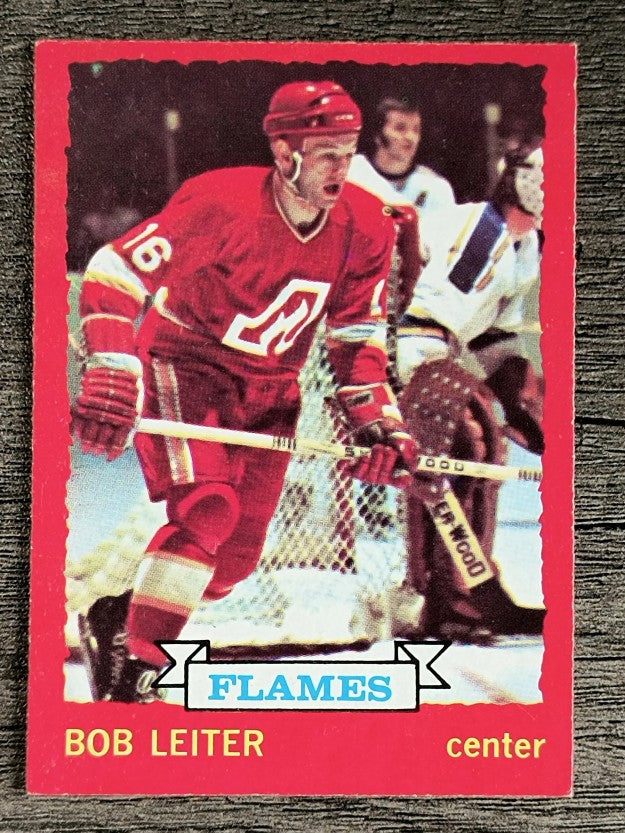 1973-74 O-Pee-Chee #117 Bob Leiter (NM)