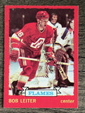 1973-74 O-Pee-Chee #117 Bob Leiter (NM)