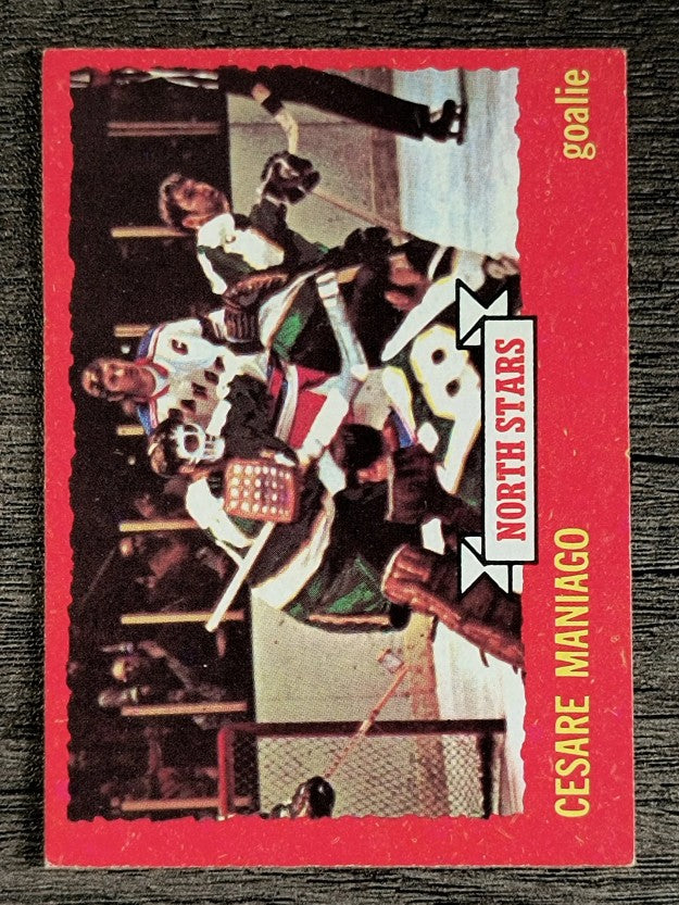 1973-74 O-Pee-Chee #127 Cesare Maniago (EXMT)