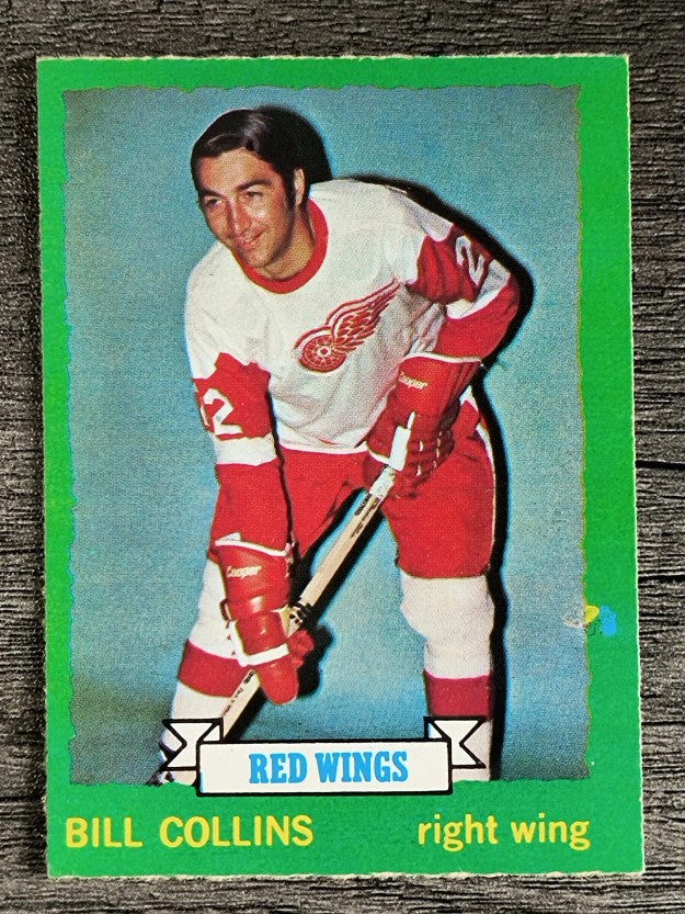 1973-74 O-Pee-Chee #163 Bill Collins (EXMT)