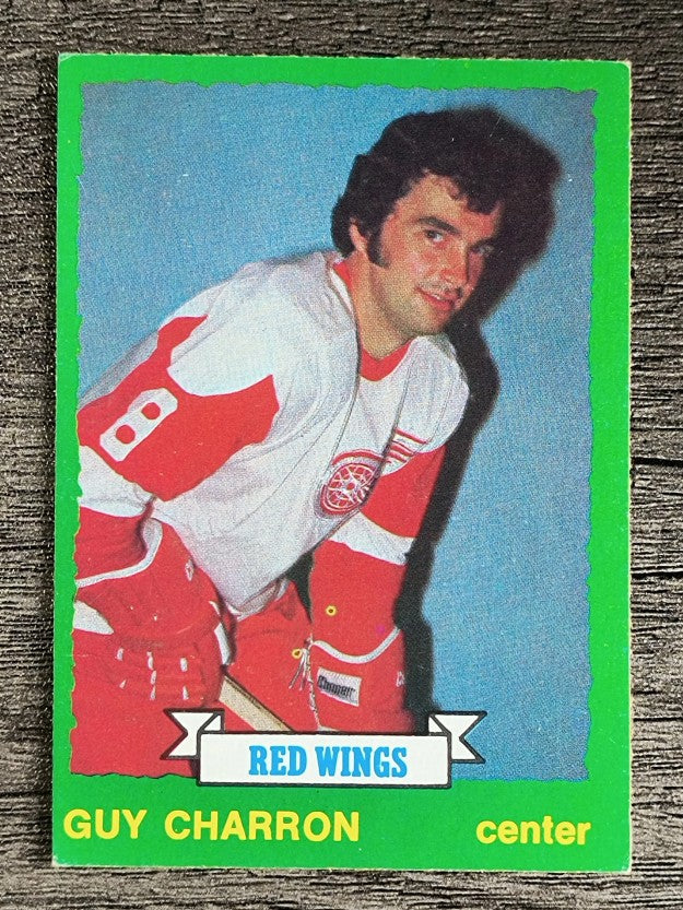 1973-74 O-Pee-Chee #220 Guy Charron (EXMT)