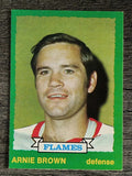 1973-74 O-Pee-Chee #225 Arnie Brown (NM)