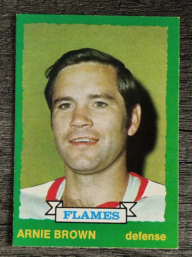 1973-74 O-Pee-Chee #225 Arnie Brown (NM)