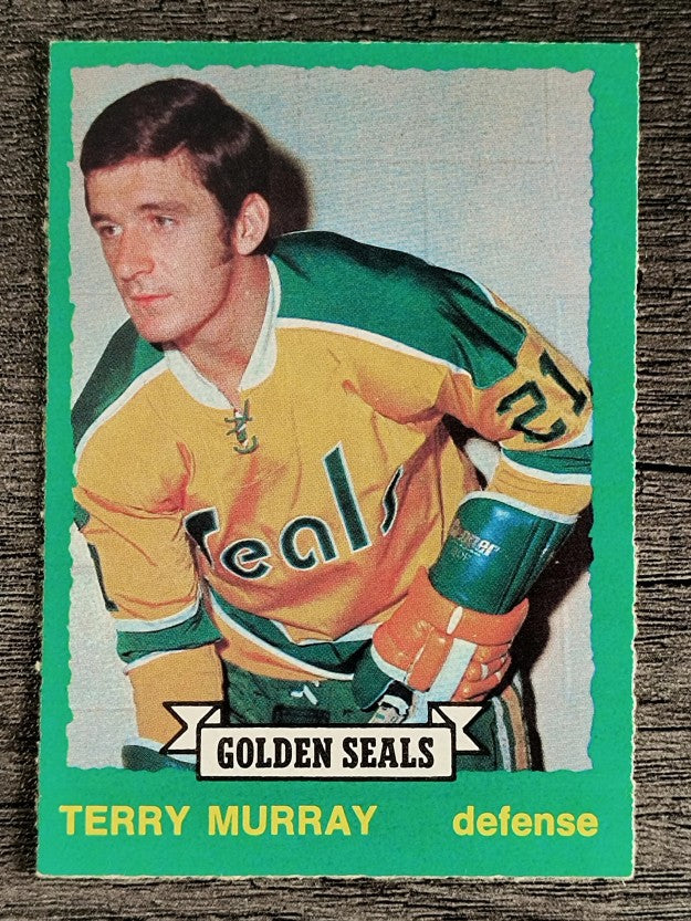 1973-74 O-Pee-Chee #259 Terry Murray RC (EXMT)