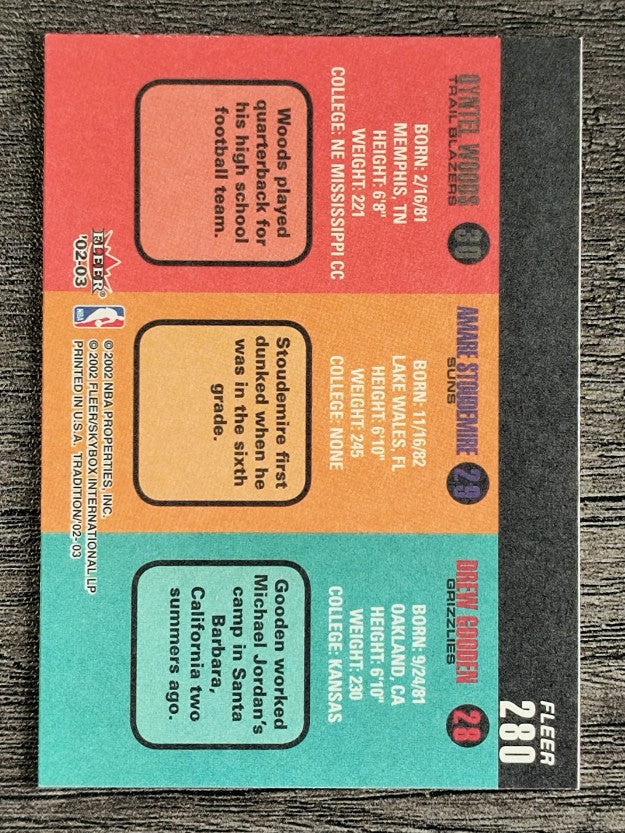2002-03 Fleer Tradition #280 Drew Gooden/Amare Stoudemire/Qyntel Woods RC (NM)