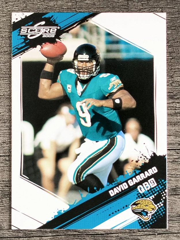 2009 Score #132 David Garrard