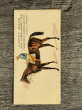 1889 Kinney Famous Running Horses N230 #4 Caractacus (trimmed)