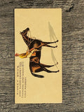 1889 Kinney Famous Running Horses N230 #5 Cremorne (trimmed)