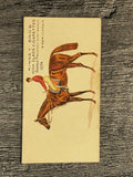 1889 Kinney Famous Running Horses N230 #7 George Frederick (trimmed)