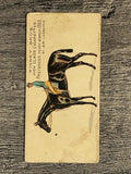 1889 Kinney Famous Running Horses N230 #16 Pretender (trimmed)