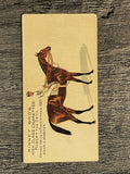 1889 Kinney Famous Running Horses N230 #18 Robert The Devil (VG)