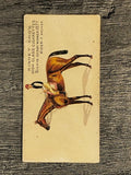 1889 Kinney Famous Running Horses N230 #22 Silvio (GOOD)