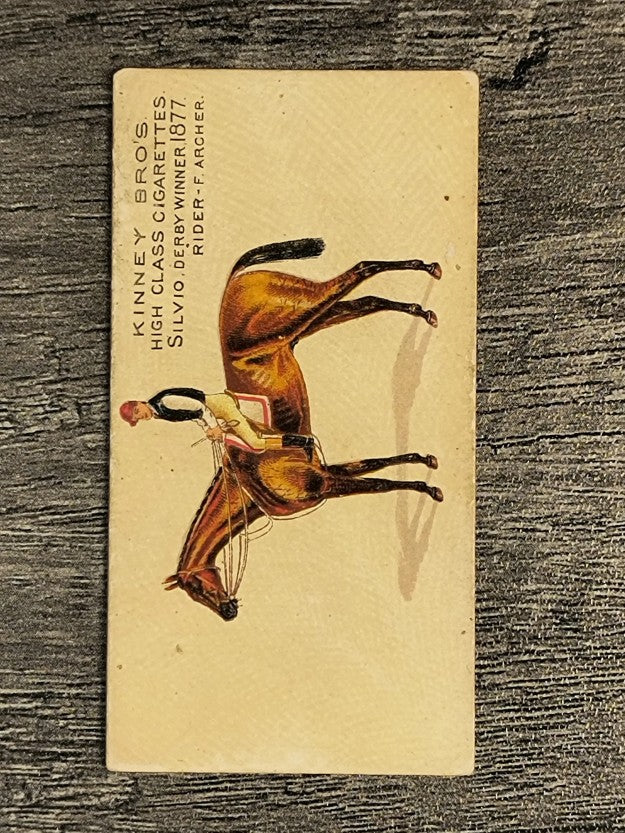 1889 Kinney Famous Running Horses N230 #22 Silvio (GOOD)