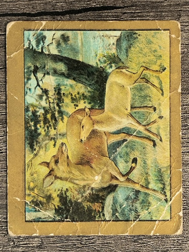 1910 American Tobacco Fable Series T57 #29 The Fawn and Its Mother (POOR)