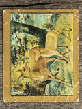 1910 American Tobacco Fable Series T57 #29 The Fawn and Its Mother (POOR)