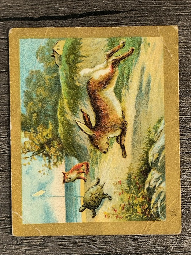 1910 American Tobacco Fable Series T57 #45 The Hare and the Tortoise (POOR)