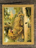 1910 American Tobacco Fable Series T57 #59 The Lion and the Mouse (trimmed)