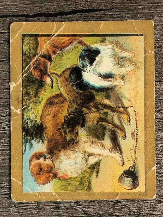 1910 American Tobacco Fable Series T57 #65 The Mischievous Dog (POOR)