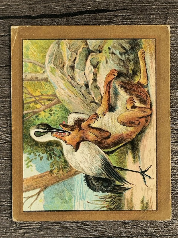 1910 American Tobacco Fable Series T57 #96 The Wolf and the Crane (GOOD)