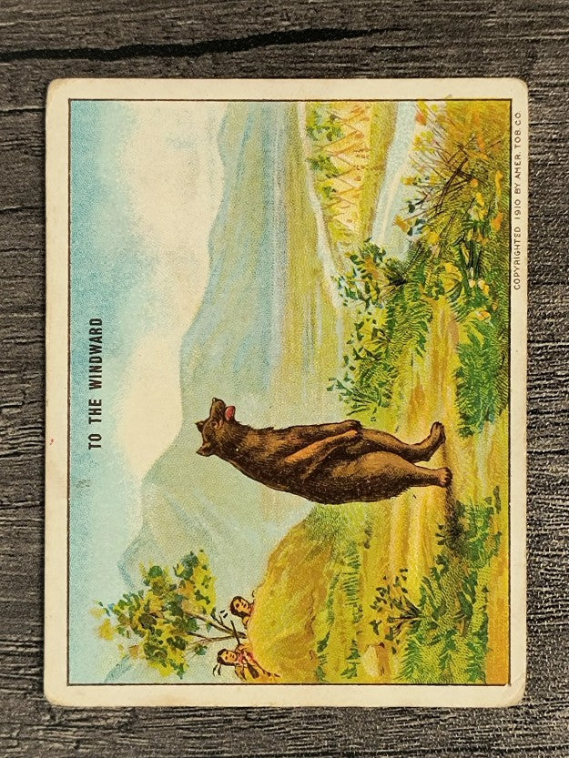 1910 American Tobacco Indian Life in the '60's T73 Hassan Backs To Windward (VG)