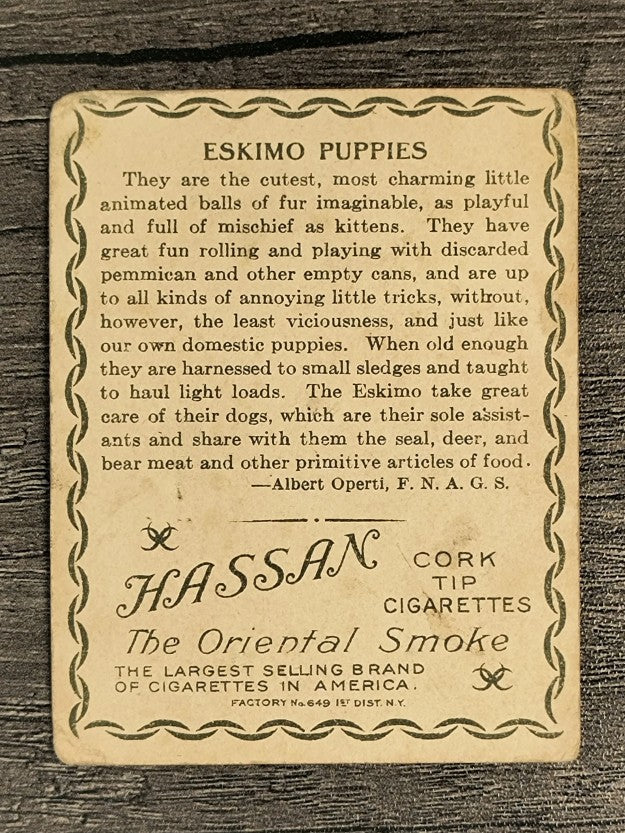1910 Hassan Arctic Scenes T30 #15 Eskimo Puppies (GOOD)