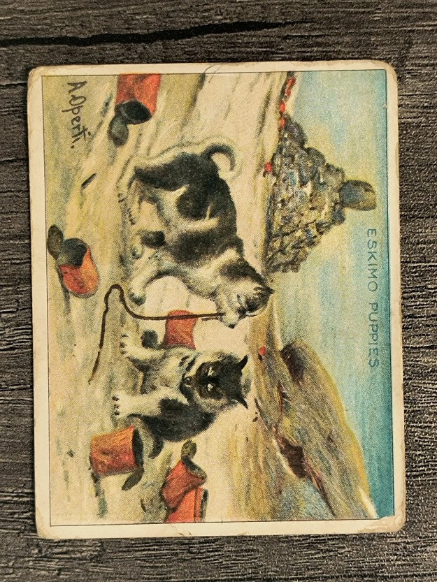 1910 Hassan Arctic Scenes T30 #15 Eskimo Puppies (GOOD)