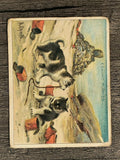 1910 Hassan Arctic Scenes T30 #15 Eskimo Puppies (GOOD)