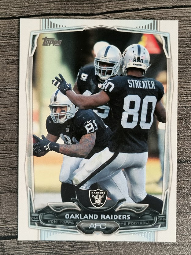 2014 Topps #108 Oakland Raiders/Rod Streater