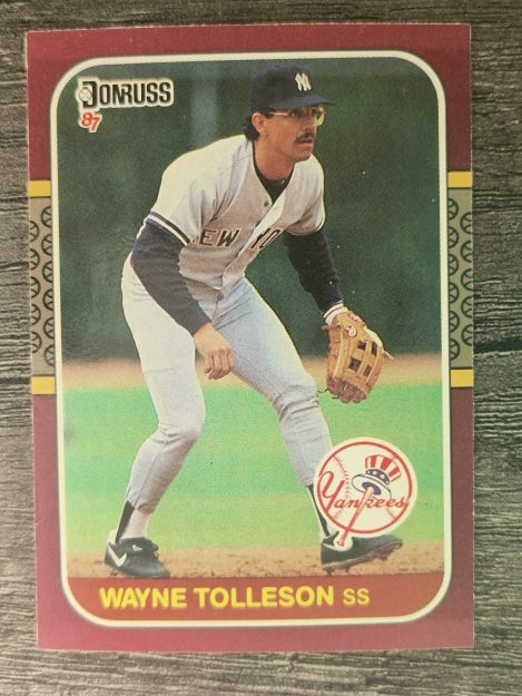1987 Donruss Opening Day #245 Wayne Tolleson