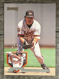 1995 Donruss #357 Rafael Palmeiro