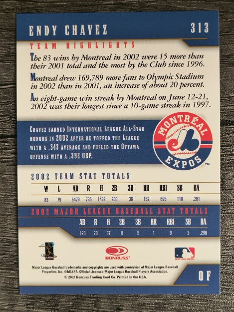 2003 Donruss Team Heroes #313 Endy Chavez