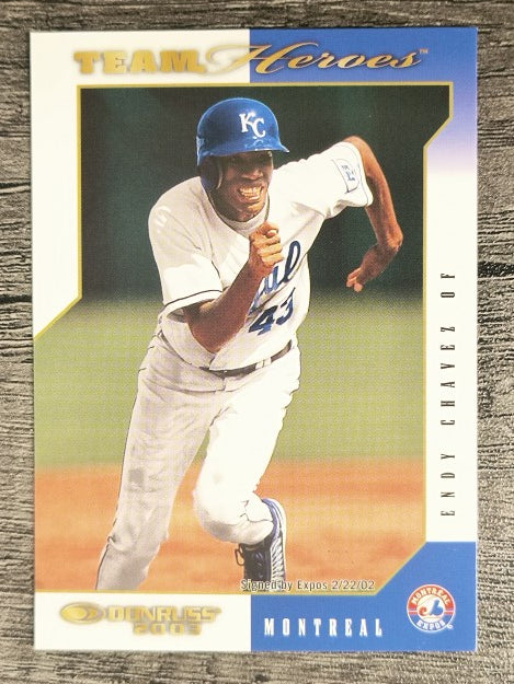 2003 Donruss Team Heroes #313 Endy Chavez