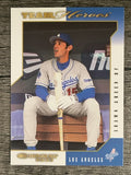 2003 Donruss Team Heroes Glossy #260 Shawn Green