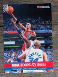 1993-94 Hoops #293 Scottie Pippen TRIB