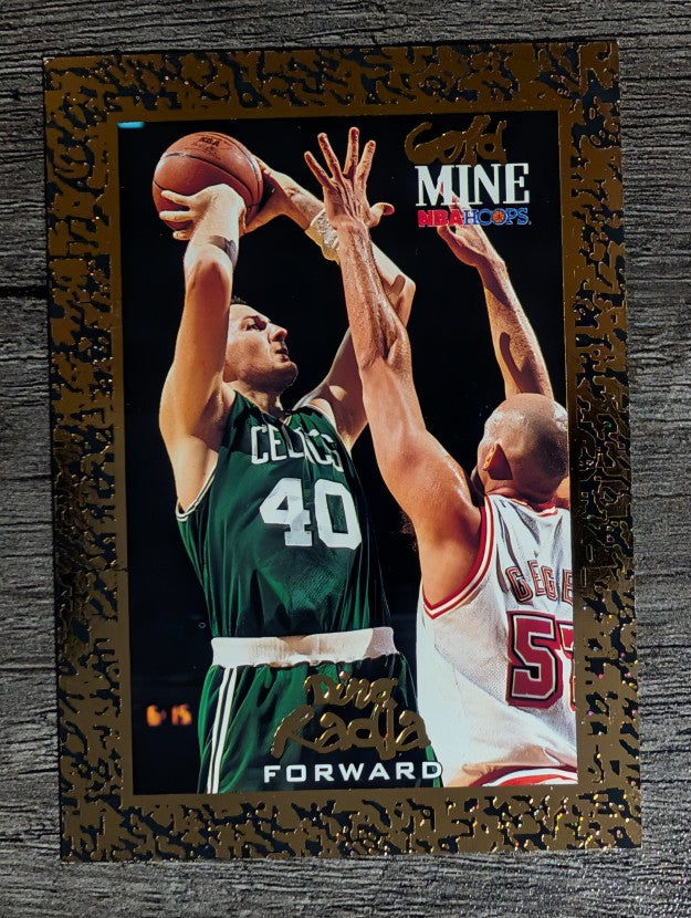 1994-95 Hoops #432 Dino Radja GM