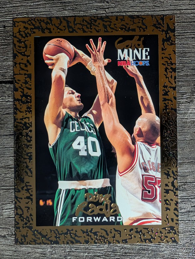 1994-95 Hoops #432 Dino Radja GM