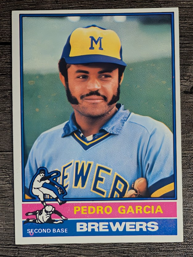 1976 Topps #187 Pedro Garcia (EXMT)