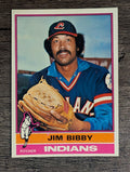 1976 Topps #324 Jim Bibby (NM)