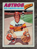 1977 Topps #143 Ed Herrmann (NM)