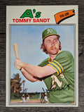 1977 Topps #616 Tommy Sandt RC (NM)