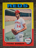1975 Topps Mini #157 Pedro Borbon (NMMT)
